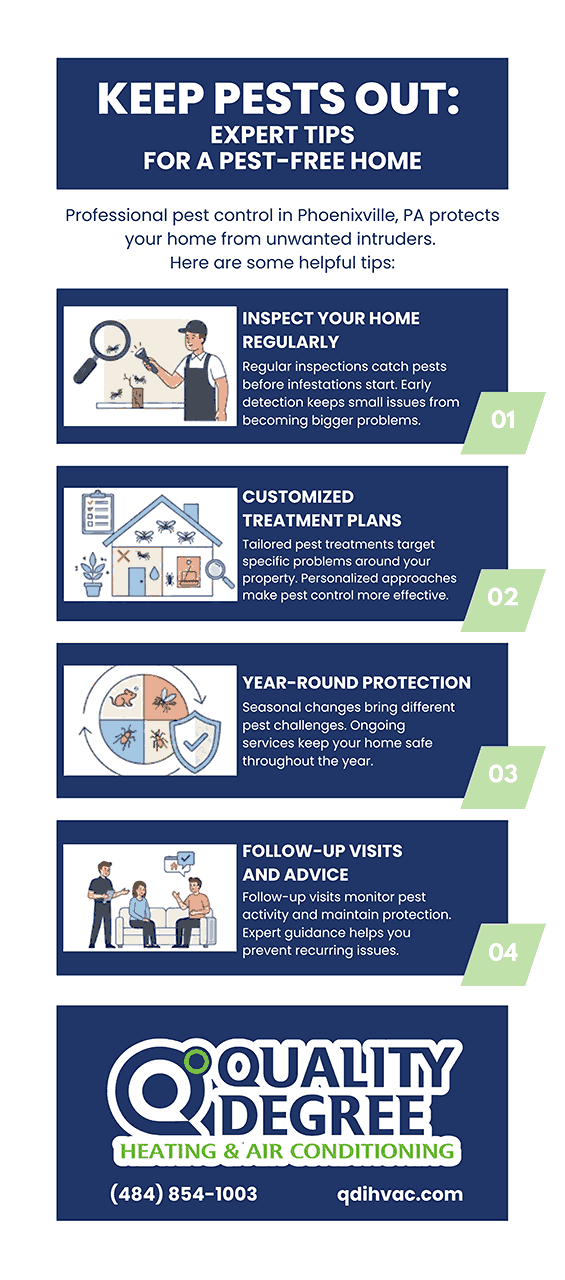 Expert Tips for a pest free home