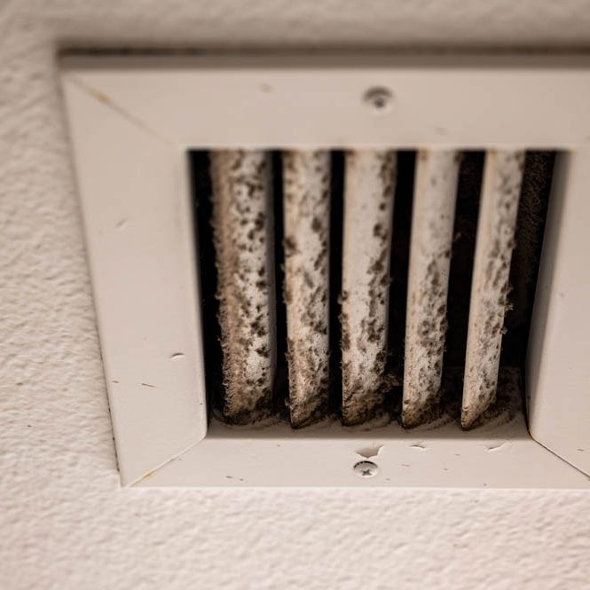 mold in air ducts