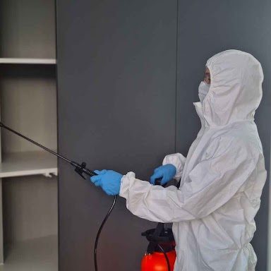 pest control services pest control services
